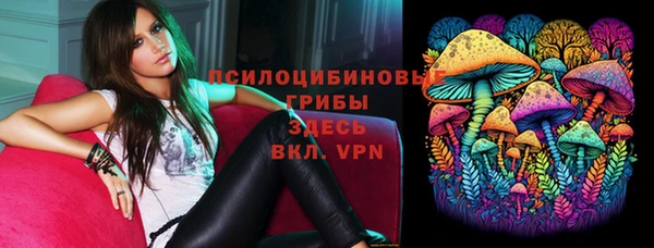 соль курить ск Белокуриха