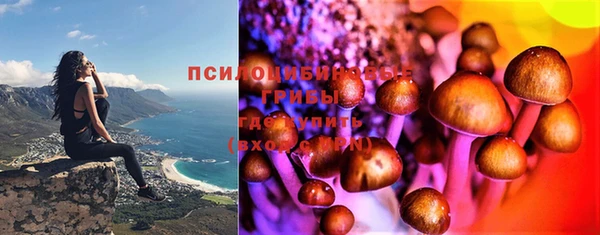 соль курить ск Белокуриха